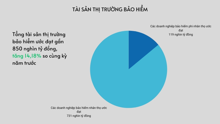Đồ hoạ tài sản thị trường bảo hiểm