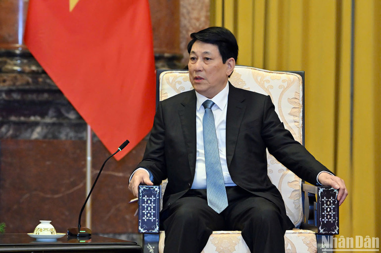 Chủ tịch nước Lương Cường phát biểu tại buổi tiếp.