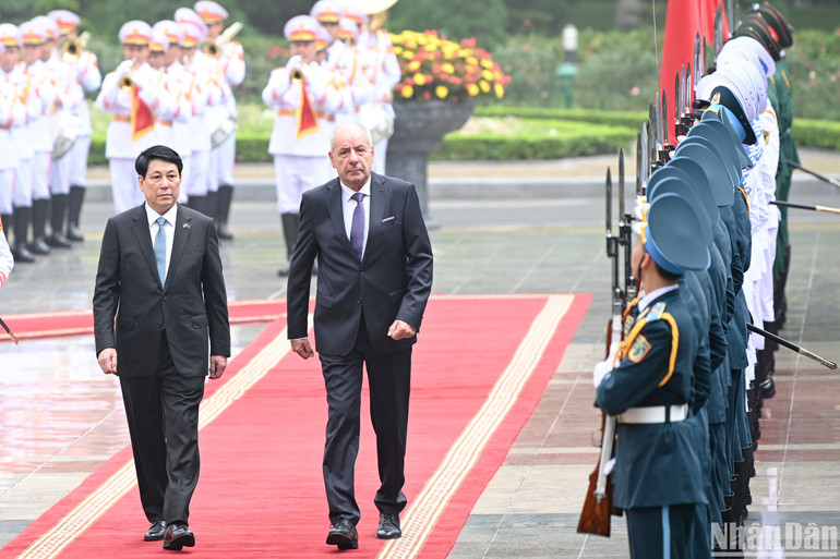 Chủ tịch nước và Tổng thống Hungary duyệt Đội danh dự Quân đội nhân dân Việt Nam.