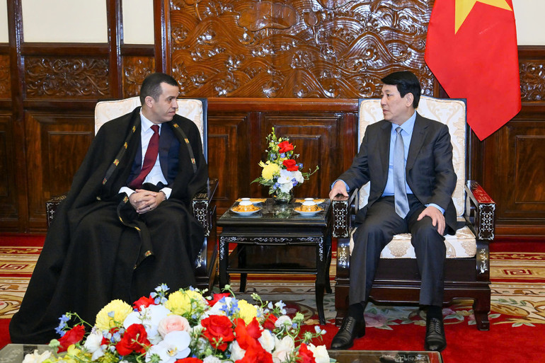 Chủ tịch nước tiếp Đại sứ Algeria.