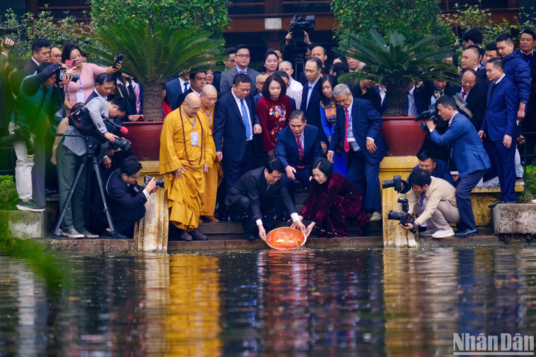 Chủ tịch nước và Phu nhân thực hiện nghi thức thả cá chép tại Ao cá Bác Hồ.