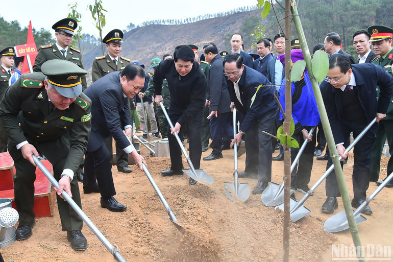 Chủ tịch nước và các đại biểu trồng cây xanh.