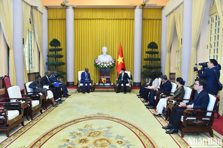 Chủ tịch nước Lương Cường tiếp Bộ trưởng Ngoại giao, Hội nhập khu vực và Kiều dân nước Cộng hòa Togo