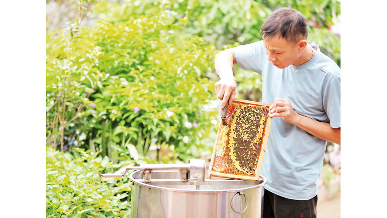 Người dân khẩn trương thu hoạch mật ong để bán.