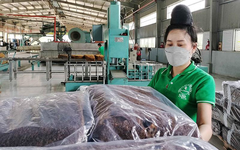 Tập đoàn Công nghiệp Cao-su Việt Nam đã đầu tư nhà máy chế biến mủ cao-su tại Sơn La.