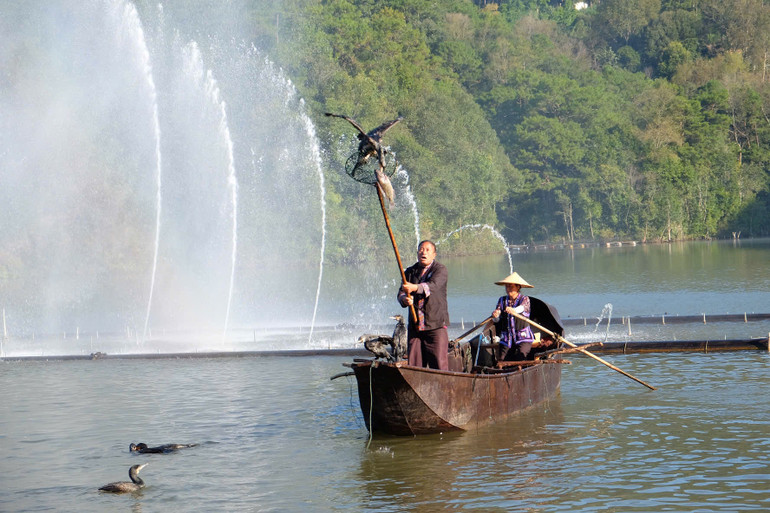Biểu diễn Di sản văn hóa phi vật thể của tỉnh Vân Nam - Bắt cá bằng chim cốc tại Hồ Định Ba.
