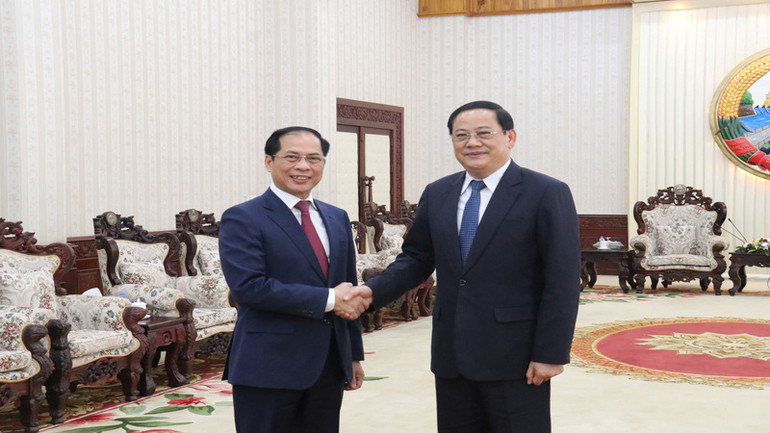 Phó Thủ tướng, Bộ trưởng Ngoại giao Bùi Thanh Sơn hội kiến Thủ tướng Lào Sonexay Siphandone.