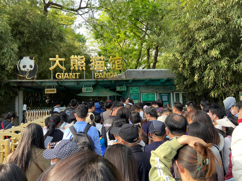 Người dân chen chúc vào xem gấu trúc tại vườn thú Bắc Kinh. (Ảnh: VĂN LẬP)