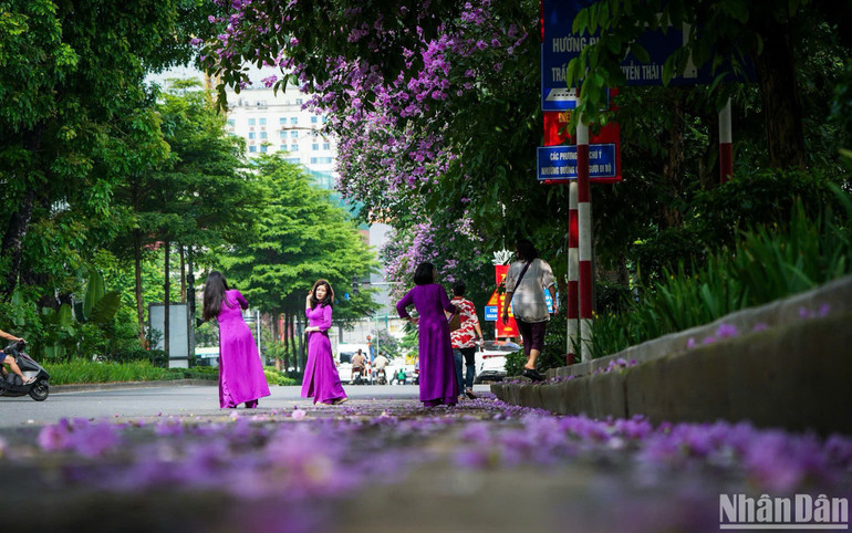 Khách du lịch sẽ có cơ hội khám phá trọn vẹn vẻ đẹp của Việt Nam với nhiều dịch vụ lữ hành, lưu trú, ăn uống, giải trí, mua sắm ưu đãi.