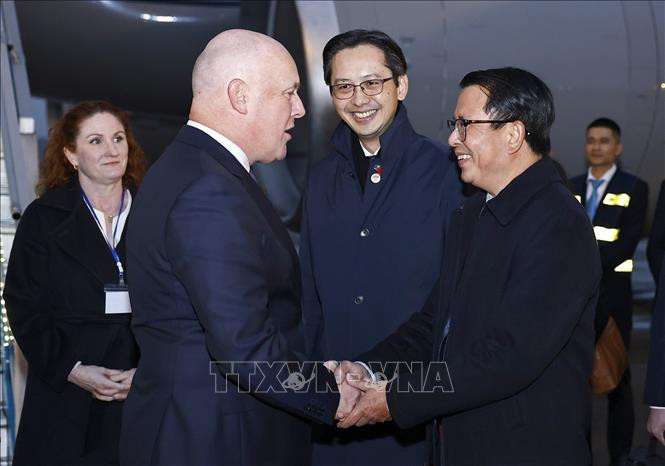 Thứ trưởng Ngoại giao Đỗ Hùng Việt và các cán bộ của Bộ Ngoại giao đón Thủ tướng New Zealand Christopher Luxon tại sân bay quốc tế Nội Bài.