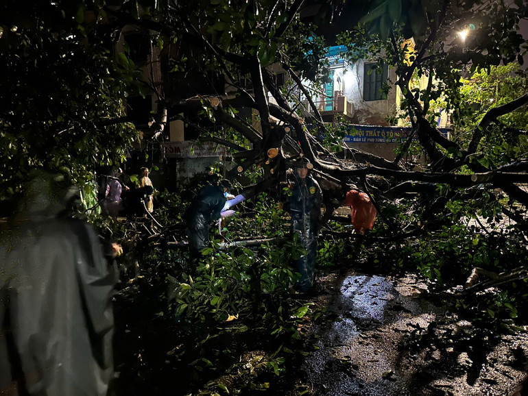 Ảnh: SƠN TÙNG. Ảnh: SƠN TÙNG.