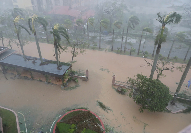 Bão số 3 đang quét qua quận Đồ Sơn, Hải Phòng (Ảnh: VIẾT CHUNG) Bão số 3 đang quét qua quận Đồ Sơn, Hải Phòng (Ảnh: VIẾT CHUNG)