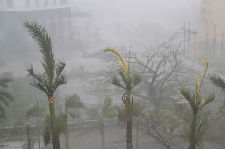 (Ảnh: VIẾT CHUNG) (Ảnh: VIẾT CHUNG)