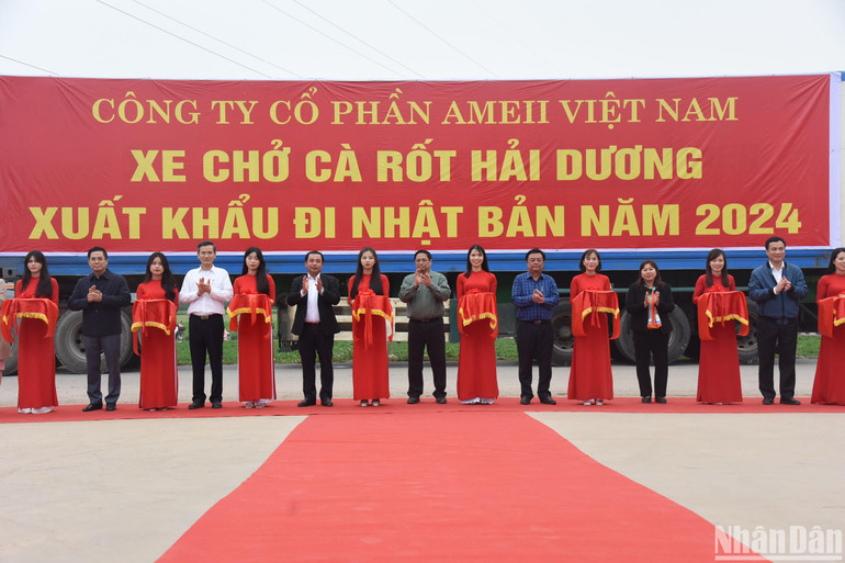 Thủ tướng Phạm Minh Chính và các đại biểu cắt băng làm Lễ xuất khẩu lô cà rốt đầu Xuân Giáp Thìn đi các thị trường Nhật Bản, Hàn Quốc và Đông Âu. Thủ tướng Phạm Minh Chính và các đại biểu cắt băng làm Lễ xuất khẩu lô cà rốt đầu Xuân Giáp Thìn đi các thị trường Nhật Bản, Hàn Quốc và Đông Âu.