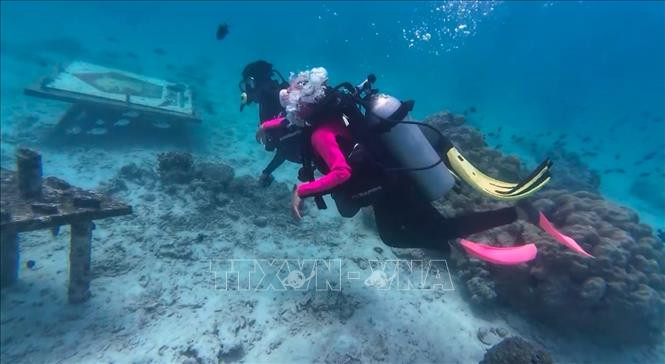 Đảo Weh (Sabang) là một trong những thiên đường cho những du khách thích trải nghiệm hoạt động dưới nước như bơi, lặn, snorkeling.