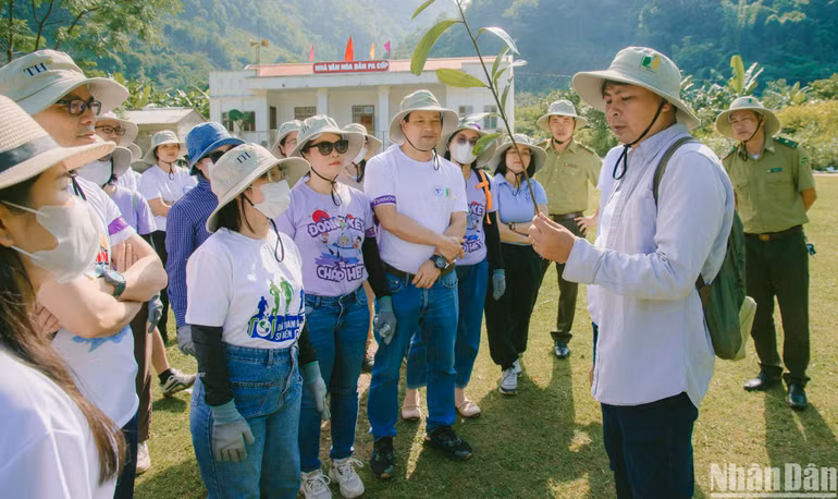 Các tình nguyện viên được hướng dẫn kỹ càng về quy trình trước khi trồng rừng.