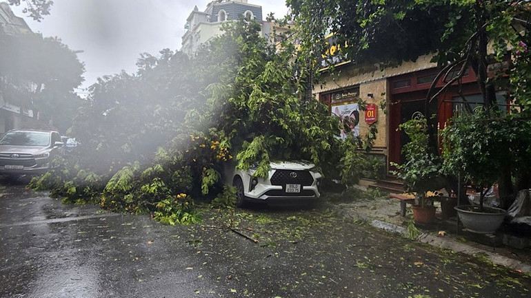 Một chiếc xe bị cây đổ phủ kín tại phường Võ Cường, thành phố Bắc Ninh. Một chiếc xe bị cây đổ phủ kín tại phường Võ Cường, thành phố Bắc Ninh.