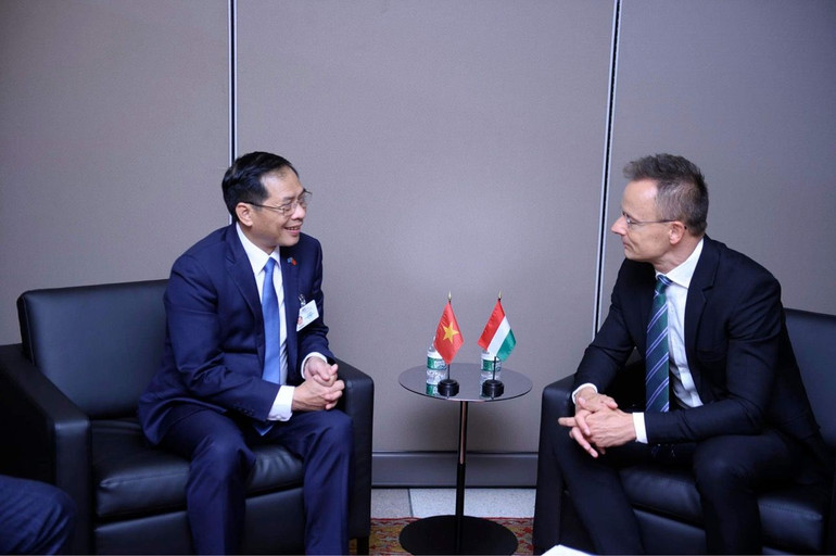 Cuộc gặp gỡ giữa Bộ trưởng Bùi Thanh Sơn và Bộ trưởng Ngoại giao Hungary Szijjarto Peter.