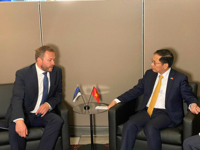 Bộ trưởng Bùi Thanh Sơn trao đổi với Bộ trưởng Ngoại giao Estonia Margus Tsahkna.