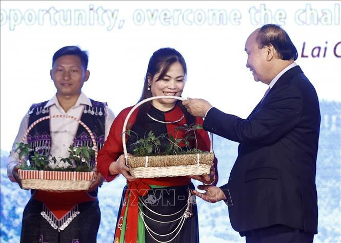 Chủ tịch nước Nguyễn Xuân Phúc tặng cây giống sâm cho đại diện các hộ gia đình. Ảnh: TTXVN