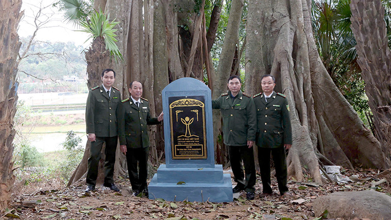 Cây đa di sản Việt Nam hơn 260 năm tuổi tại khu vực Ao Rừm, thôn Tân Lập, xã Tân Trào, huyện Sơn Dương, tỉnh Tuyên Quang.