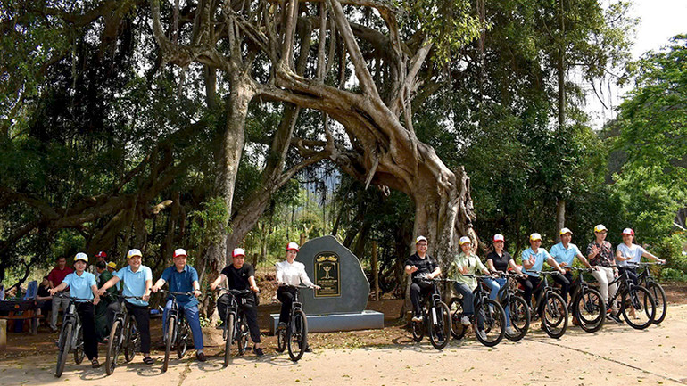 Du khách trải nghiệm đi xe đạp khám phá cung đường di sản và tham quan cây si di sản 265 năm tuổi.