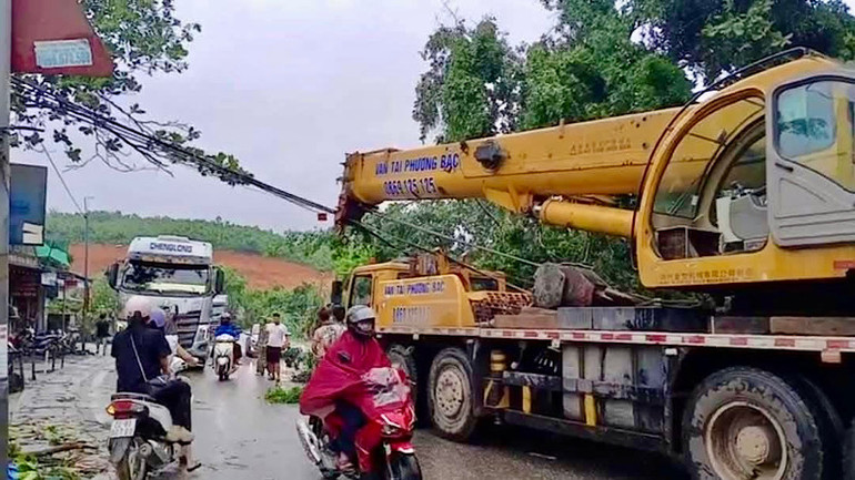 Quốc lộ 2 hướng Tuyên Quang đi Hà Giang bị ách tắc giao thông do nhiều cây bị đổ.