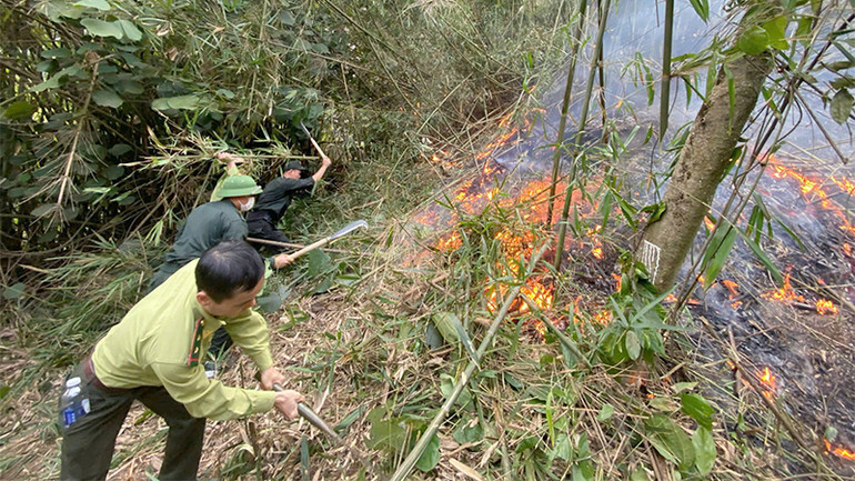 Các lực lượng chức năng khẩn trương chữa cháy rừng tại núi Nghiêm, xã Hoàng Khai, huyện Yên Sơn vào ngày 21/3 vừa qua.