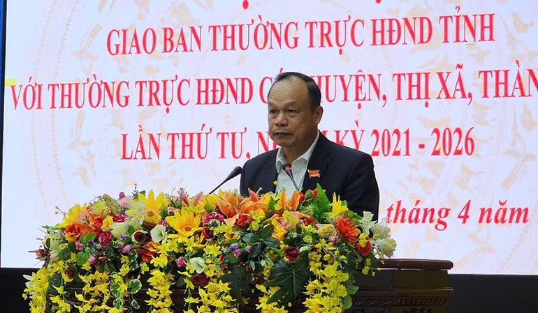 Đại diện Ủy ban nhân dân tỉnh trình bày tham luận tại hội nghị.