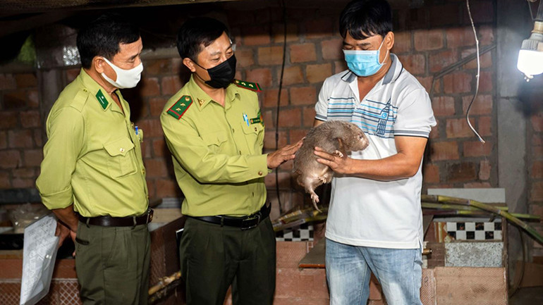 Tăng cường quản lý việc nuôi động vật hoang dã sẽ góp phần bảo vệ môi trường sống của động vật hoang dã, hạn chế lây lan dịch bệnh đến con người.