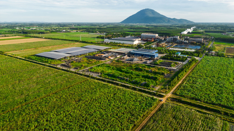 Giải chạy với hình thức “Cross country - Chạy băng đồng” qua các vùng nguyên liệu xanh mát của TTC AgriS và tỉnh Tây Ninh.