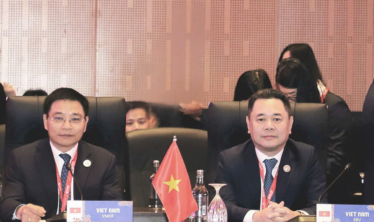 Đoàn Việt Nam tham dự hội nghị.