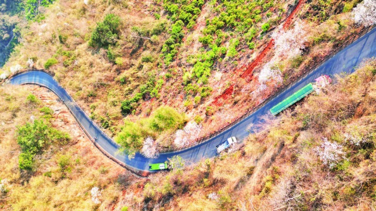 Du khách men theo Quốc lộ 6 lên Sơn La như lạc bước vào không gian cổ tích với sắc trắng pha tím của hoa ban nở khắp núi rừng. Du khách men theo Quốc lộ 6 lên Sơn La như lạc bước vào không gian cổ tích với sắc trắng pha tím của hoa ban nở khắp núi rừng.