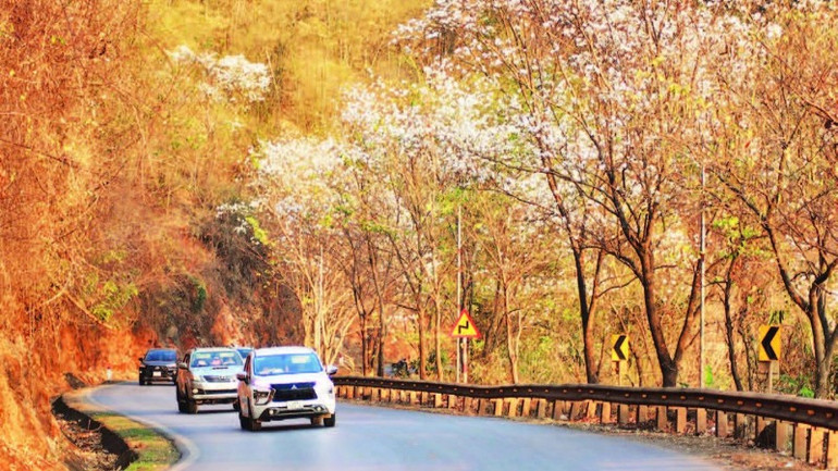 Quốc lộ 6 bắt đầu từ huyện Vân Hồ, qua thị xã Mộc Châu, huyện Yên Châu, Mai Sơn rồi qua thành phố Sơn La đến huyện Thuận Châu tràn ngập hoa ban hai bên đường. Quốc lộ 6 bắt đầu từ huyện Vân Hồ, qua thị xã Mộc Châu, huyện Yên Châu, Mai Sơn rồi qua thành phố Sơn La đến huyện Thuận Châu tràn ngập hoa ban hai bên đường.