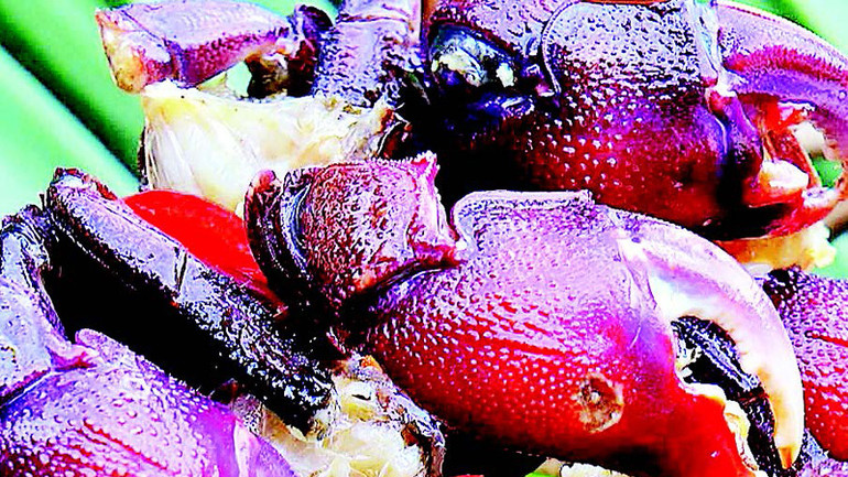 Ba khía tự nhiên có thể nướng, luộc, hấp, xào, rang me, rang muối… nhưng ngon nhất là mắm ba khía.