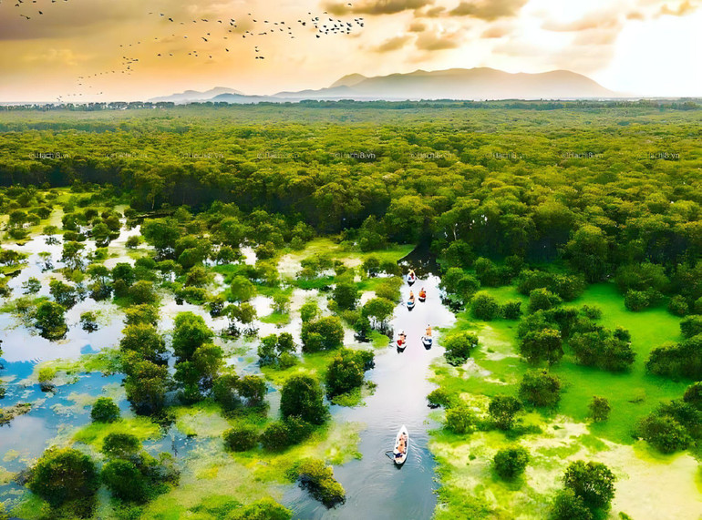 Một góc rừng tràm Trà Sư nhìn từ trên cao.