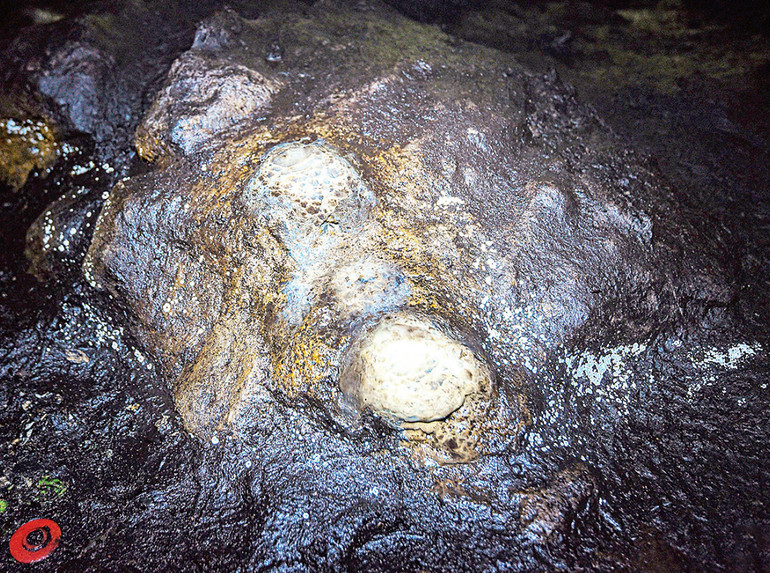 Núi lửa Nâm Ka thuộc huyện Krông Nô, tỉnh Đắk Nông.