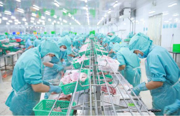 I.D.I góp phần đưa kim ngạch xuất khẩu thủy sản tăng trưởng hai con số I.D.I góp phần đưa kim ngạch xuất khẩu thủy sản tăng trưởng hai con số