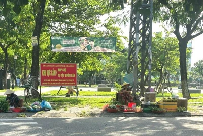 Người dân buôn bán ngay dưới biển cấm tại vỉa hè công viên Nguyễn Huy Tưởng, phường Hòa Khánh.
