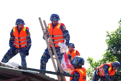 Bản tin thời sự sáng 25/9/2025: Trưa chiều nay, bão số 9 đổ bộ vào đất liền khu vực Quảng Ninh – Hải Phòng