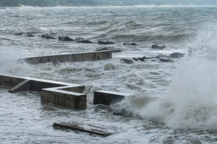 [Video] Siêu động đất Kamchatka, Nga: Sóng thần bao trùm Thái Bình Dương