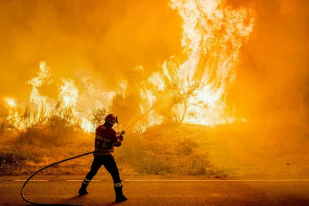 [Video] EU đối mặt cháy rừng kỷ lục, hơn 1 triệu ha bị thiêu rụi