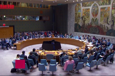 [Video] Vai trò mờ nhạt của Hội đồng bảo an LHQ trong xử lí xung đột quốc tế