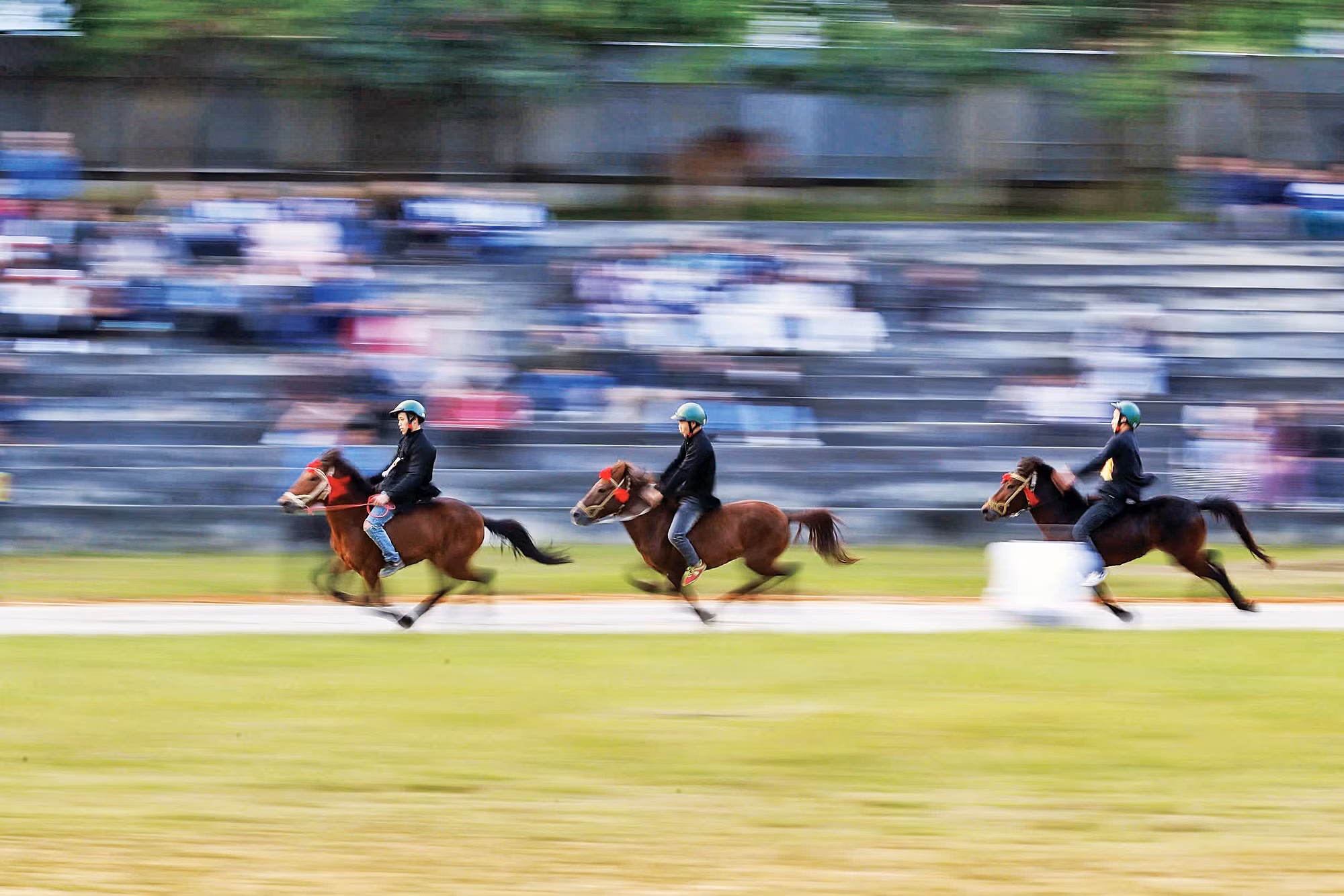 Rộn vó ngựa trong sắc xuân Bắc Hà