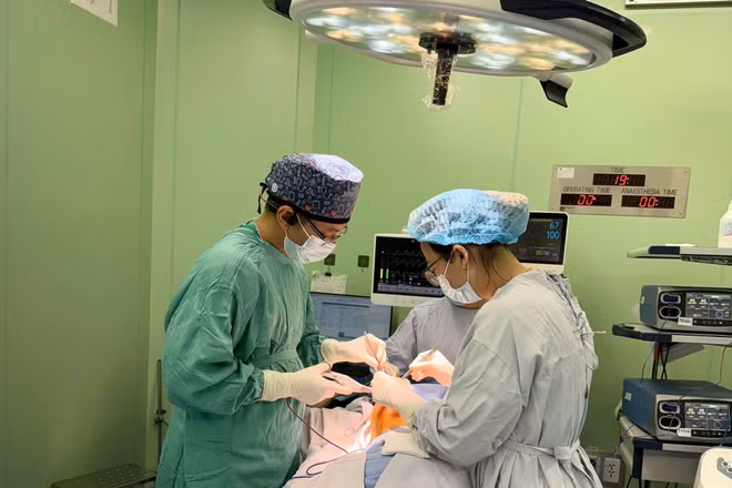 Ê-kíp bác sĩ Bệnh viện K phẫu thuật cho nữ bệnh nhân.