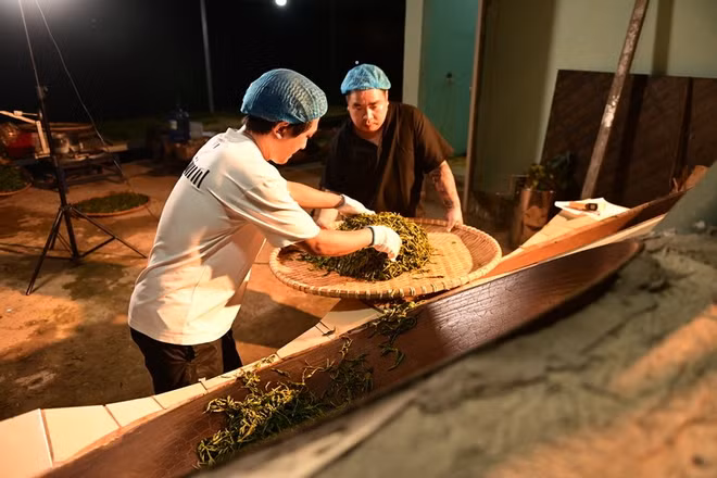 Công ty Cổ phần Thương mại và Dịch vụ xuất nhập khẩu Phương Nam Group với khát vọng bảo tồn hàng nghìn cây trà cổ thụ