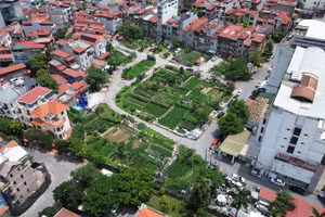 Do vướng mắc trong quá trình xử lý, dự án bị bỏ hoang gần 25 năm gây bức xúc, khiếu kiện kéo dài trong nhân dân, được người dân trong khu vực tận dụng trồng rau.