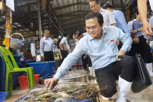Ông Cao Thanh Bình, Trưởng Ban Văn hóa - Xã hội, HĐND Thành phố Hồ Chí Minh, trực tiếp khảo sát tại chợ Bình Điền. Ảnh: TTXVN