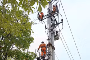 Điện lực Hưng Yên sửa chữa lưới điện trong mùa nắng nóng.
