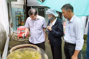 Cán bộ y tế giám sát véc-tơ truyền bệnh sốt xuất huyết Dengue tại các hộ gia đình trên địa bàn tỉnh Đồng Tháp. Ảnh: TTXVN